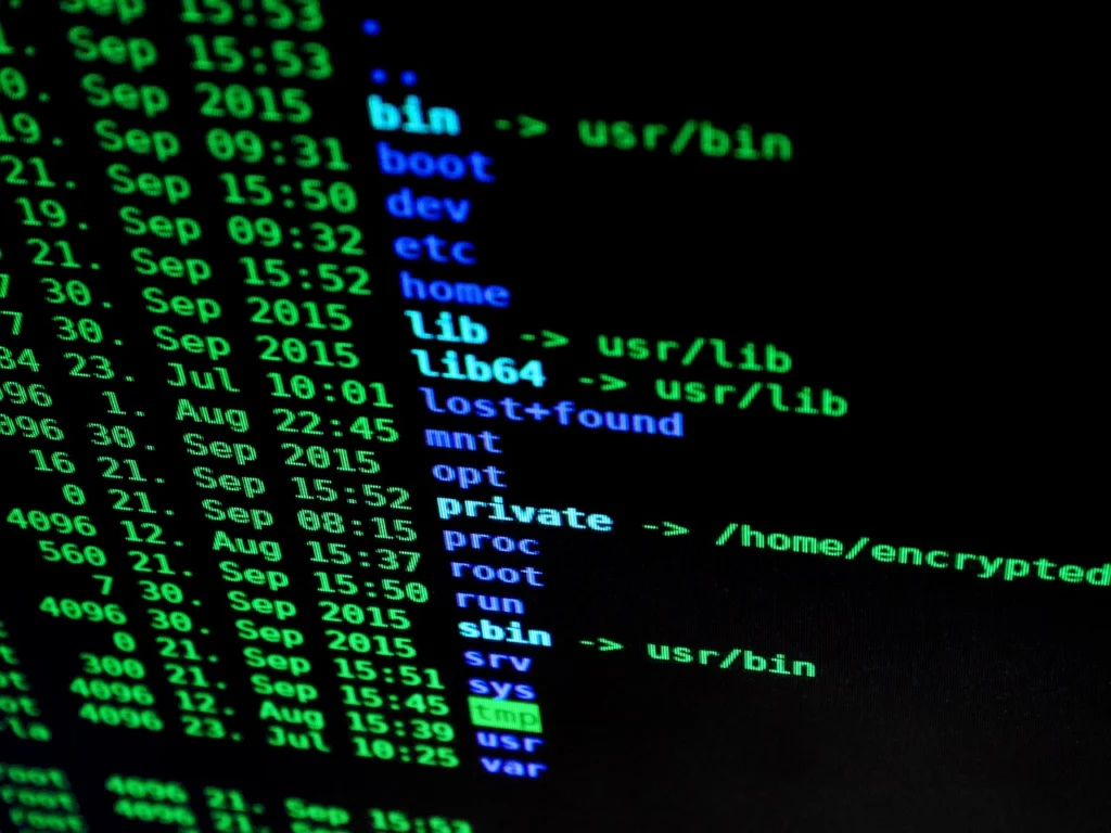 Person typing curl command in terminal to test CDN headers on laptop